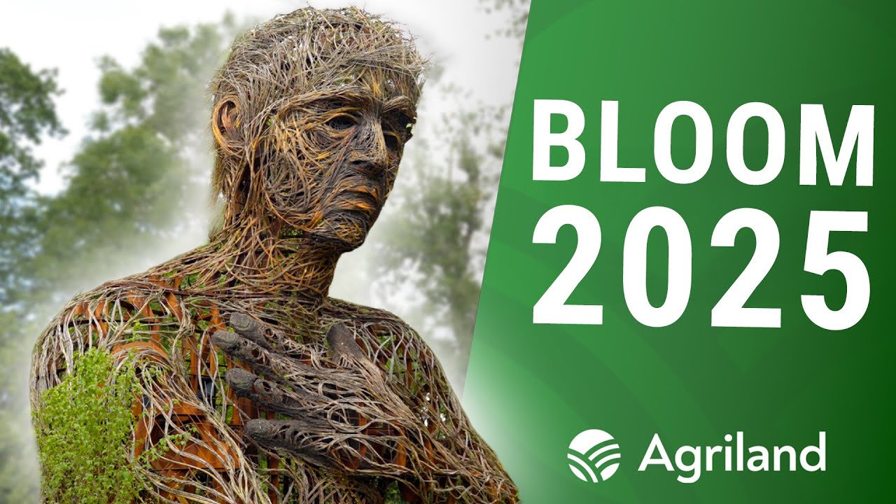 Behind the scenes of Bord Bia Bloom 2025