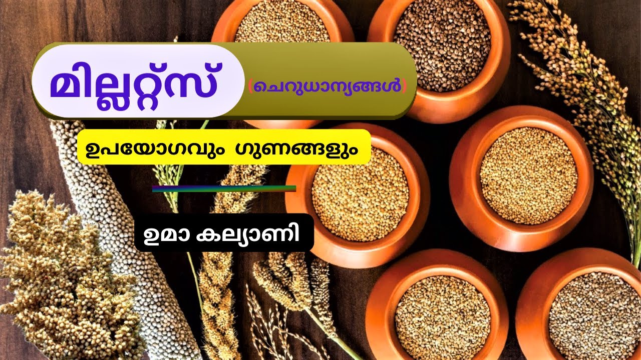 മില്ലറ്റ്സ് (ചെറുധാന്യങ്ങൾ)-ഉപയോഗവും  ഗുണങ്ങളും| Samoohyapadam| 07 02 2023 |ഉമാ കല്യാണി