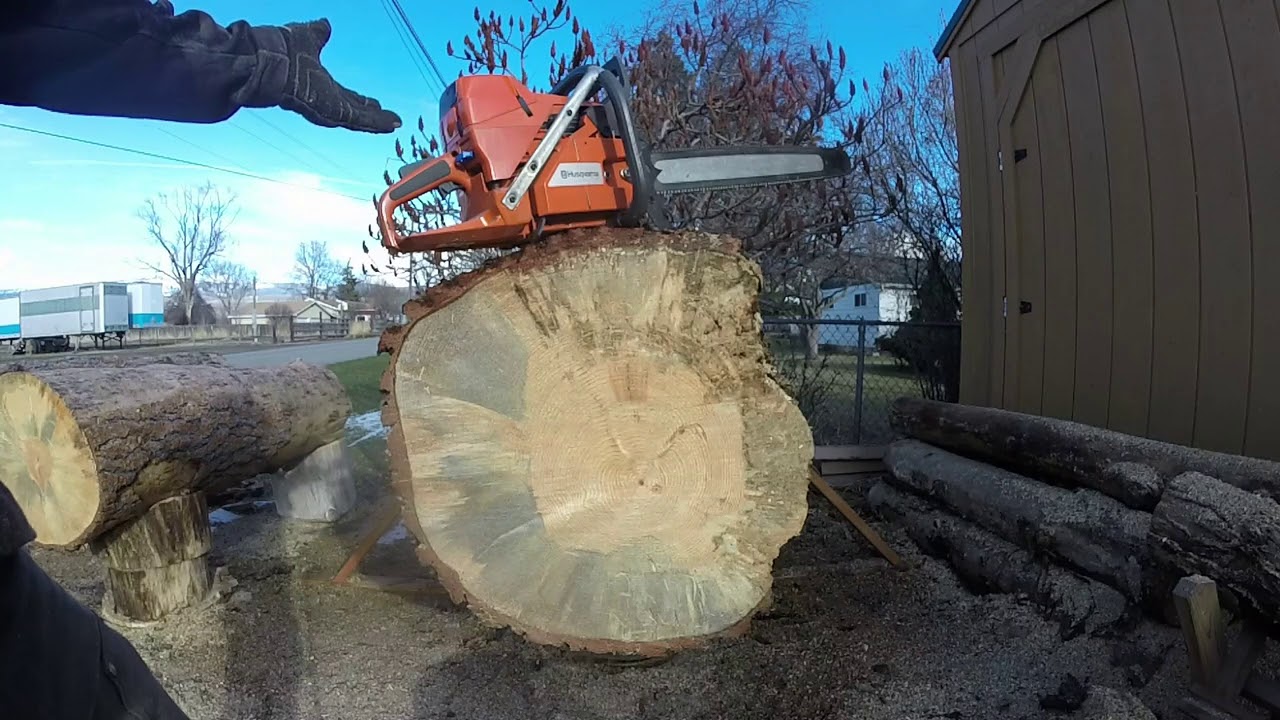 ZIPPED!!! Husqvarna 395XtraPower ANNIHILATING A Stock 395xp