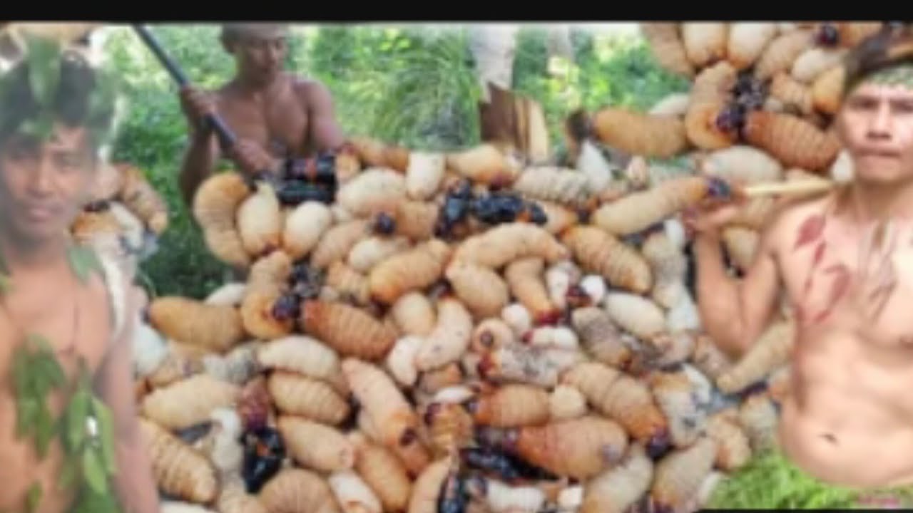 How to Find and Catch Coconut Worms | Easy Traditional Method