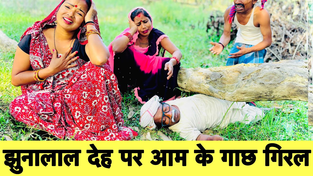 झुनालाल देह पर आम के गाछ गिरल #maithili_comedy_dhorba #chunalal 