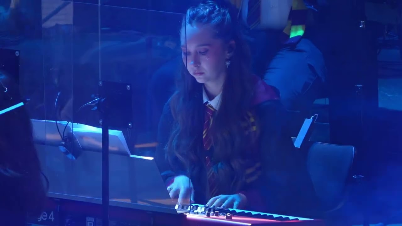 Hedwig's Theme