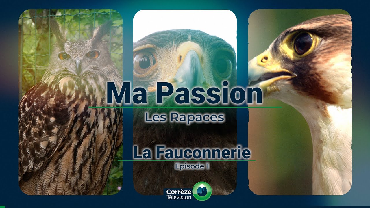 La Fauconnerie