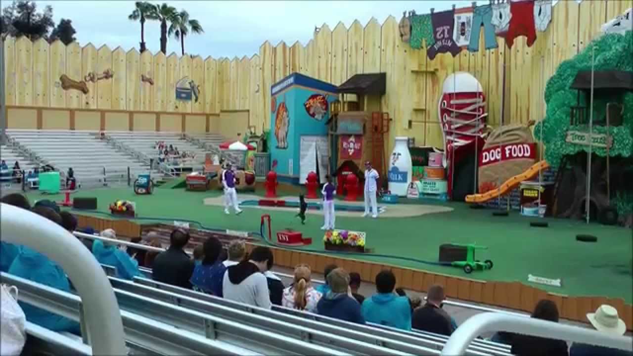 Pets Rule!, SeaWorld San Diego