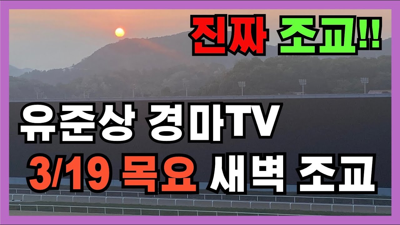 3/19 목요 새벽조교 유준상 경마 실황방송