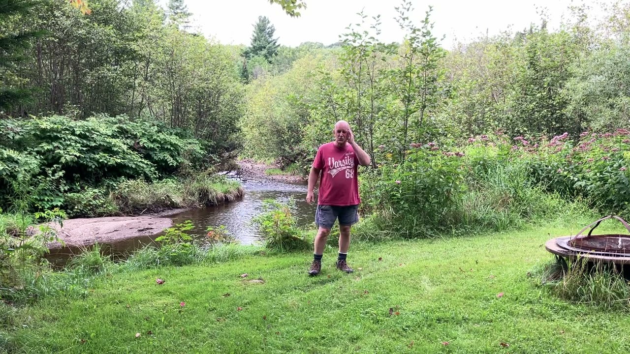 La vie en nature dans un Estrie pluvieux: invasion de maringouins 2023