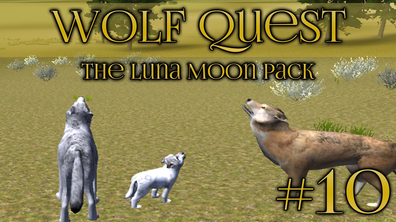 Wolf Quest🐺  Luna's Nightmare! - Episode #10