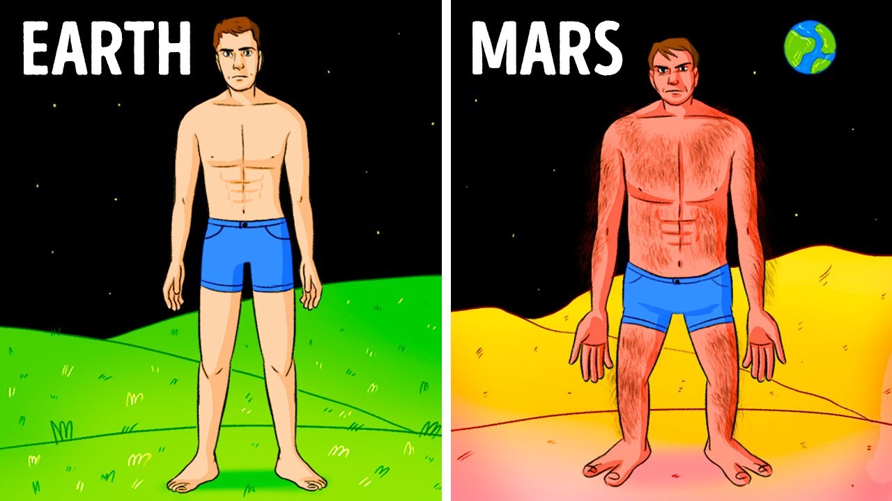 How You'd Look Living on Different Planets - 3D Animation