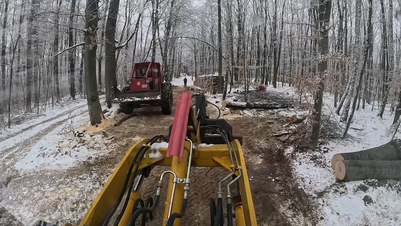 Egy nap az erdőn, fakitermel&eacute;s munkafolyamata. LKT80, Stihl ms661c, ms461, Force 915.