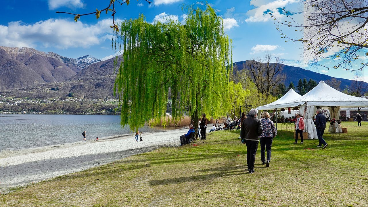 Parco delle Camelie 2023 (Locarno)