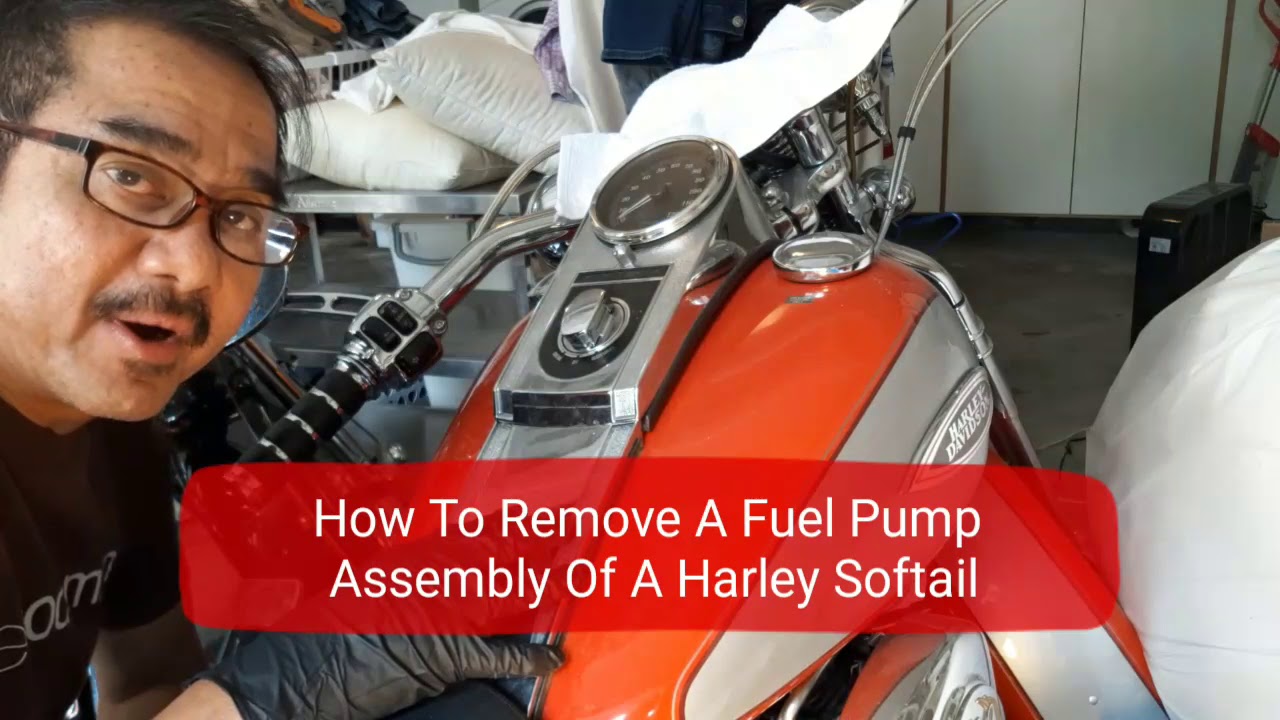 How To Remove Fuel Pump Assembly Of A Harley Softail