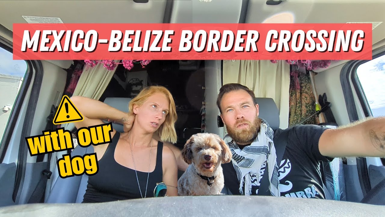 Dog Owners BEWARE! Stressful Mexico Belize Border Crossing