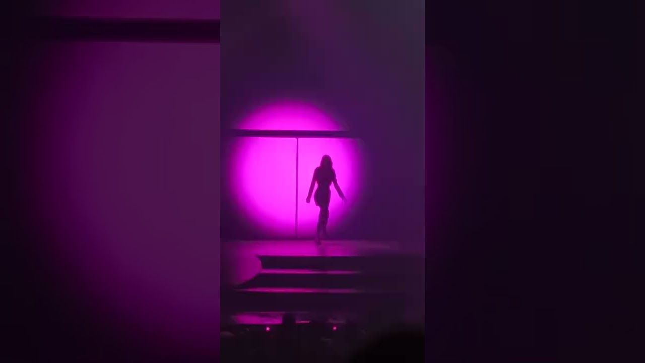l'entrée de Angèle au Zénith de Limoges❤️‍🔥🔥