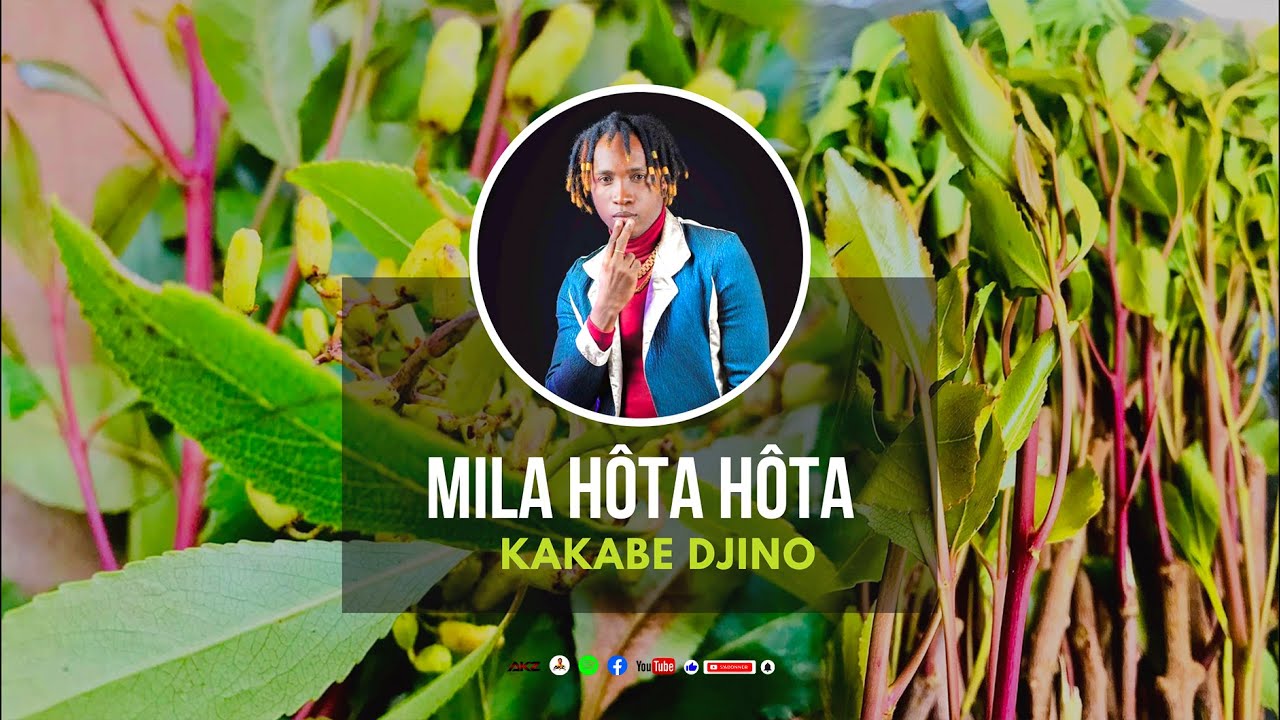 Kakabe Djino - Mila hôta hôta | Nouveauté Gasy 2023
