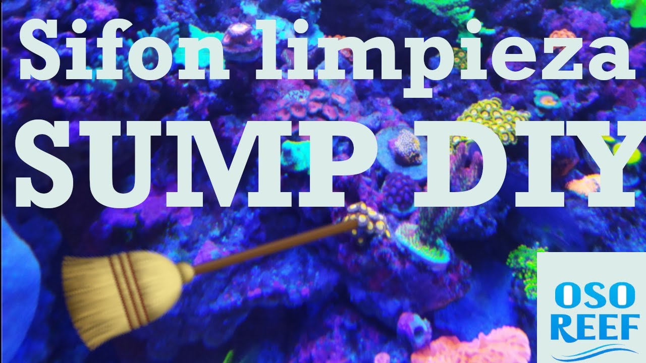 Sifon DIY para limpieza del SUMP