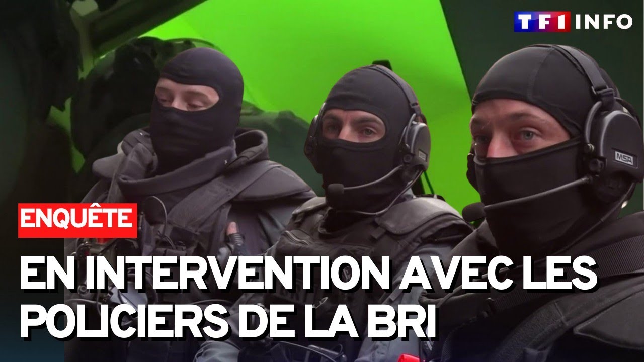 Immersion avec les policiers de la BRI