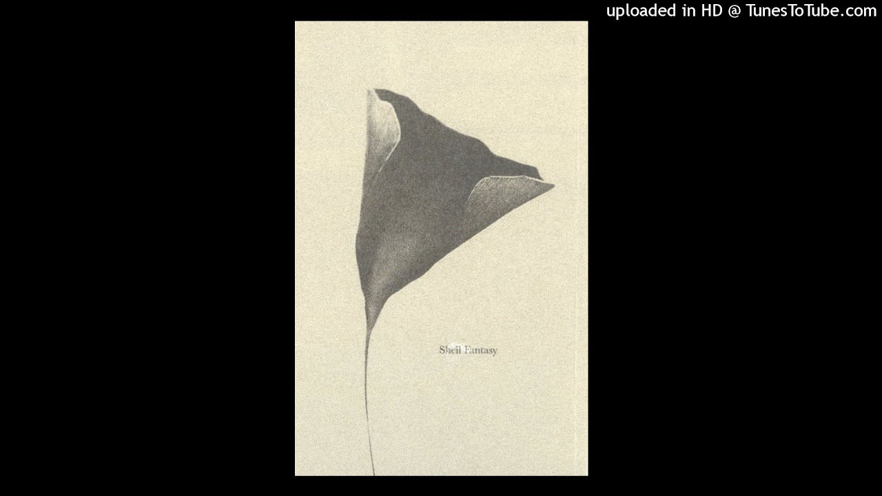 Shell Fantasy - B1