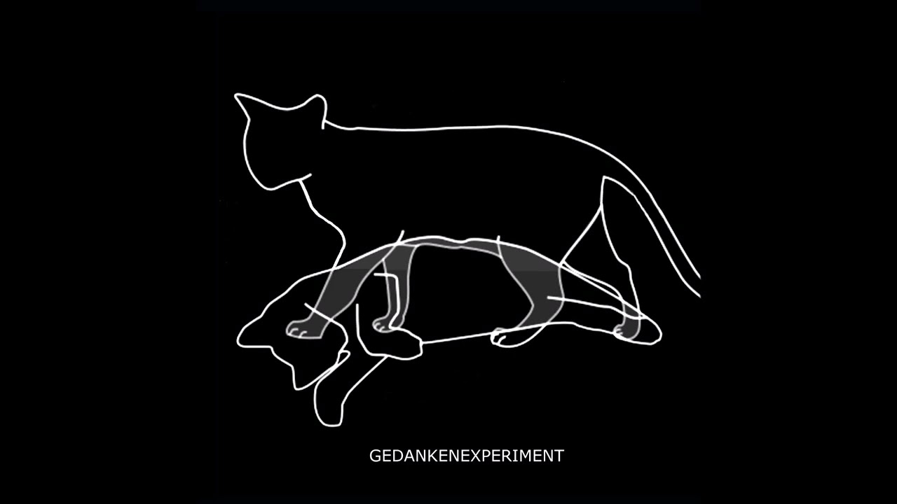 Gedankenexperiment &ndash; Radiation Vacuum