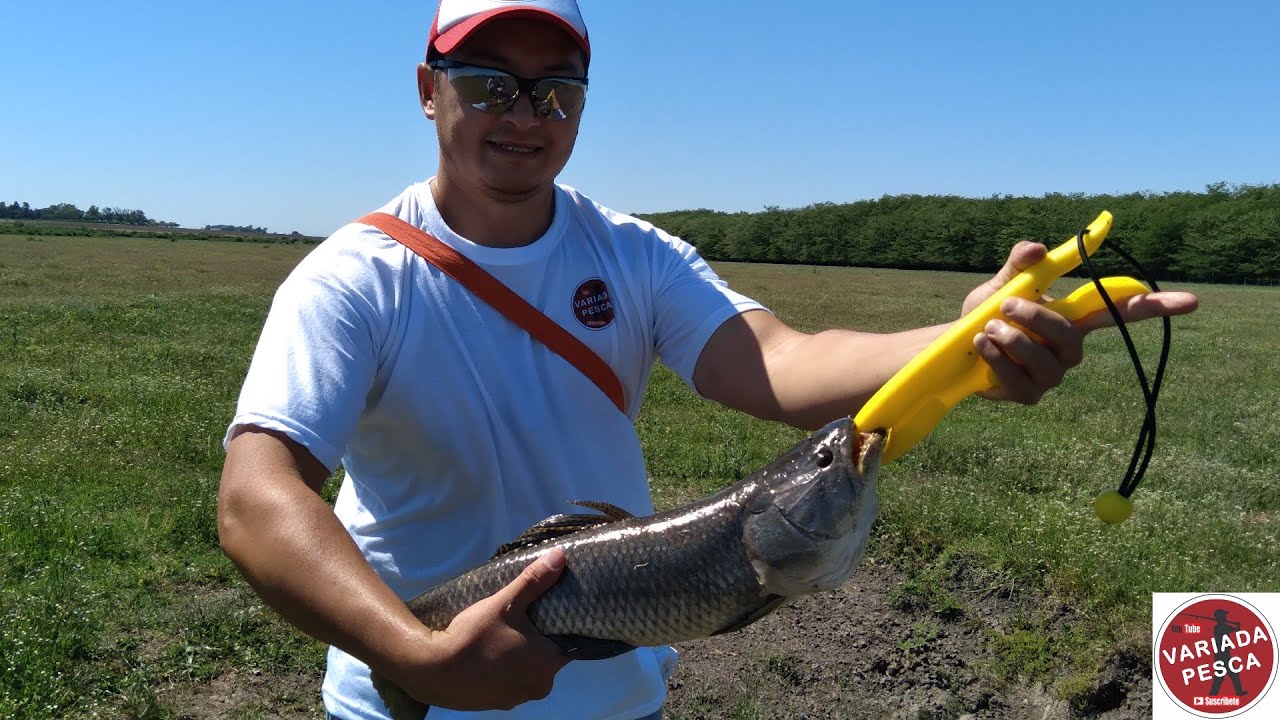 Pesca en Baradero, Irineo Portela. Buscamos la revancha por la tararira y se nos dio !!!
