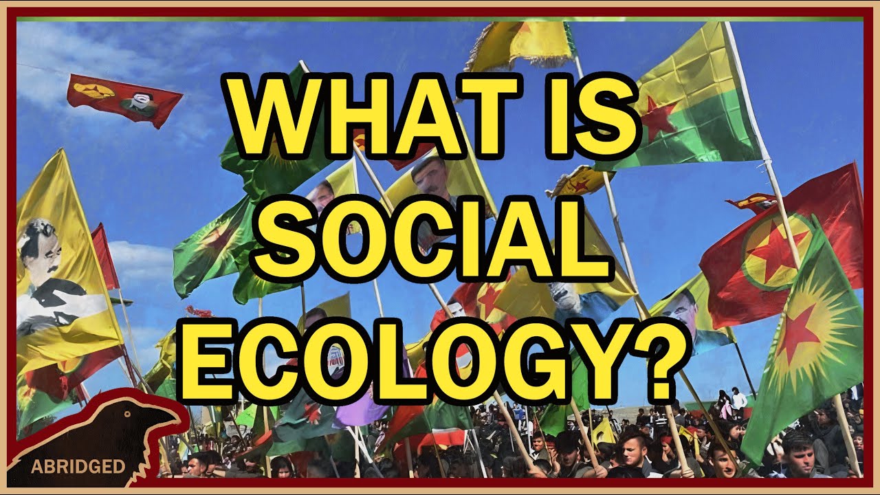 Environmentalism won't save the environment!