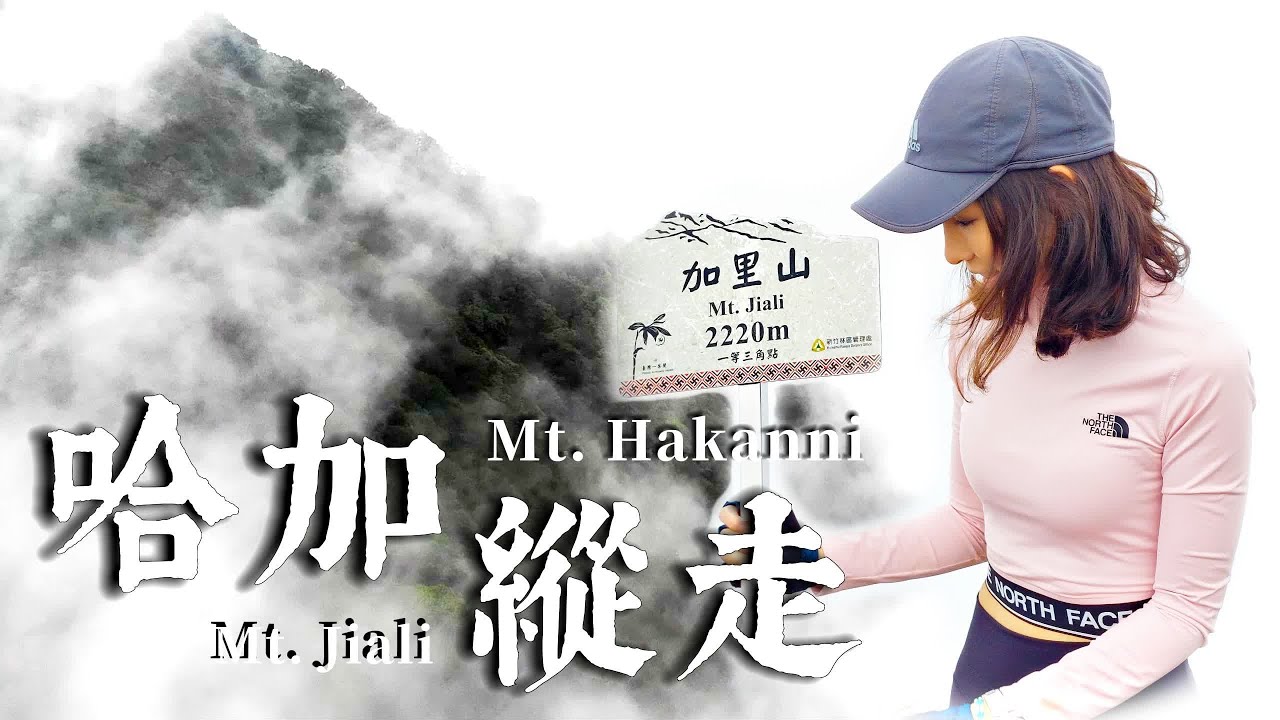 【哈加縱走】 根本是動作片🤬 | 一個字“難” | 😵‍💫刁鑽90度攀爬 -GoPro全記錄 | 有如合歡西峰的上上下下｜最刺激有趣的冒險旅程💪| 美得讓人流連忘返🤩 | 加里山｜哈勘尼山｜鹿場登山口
