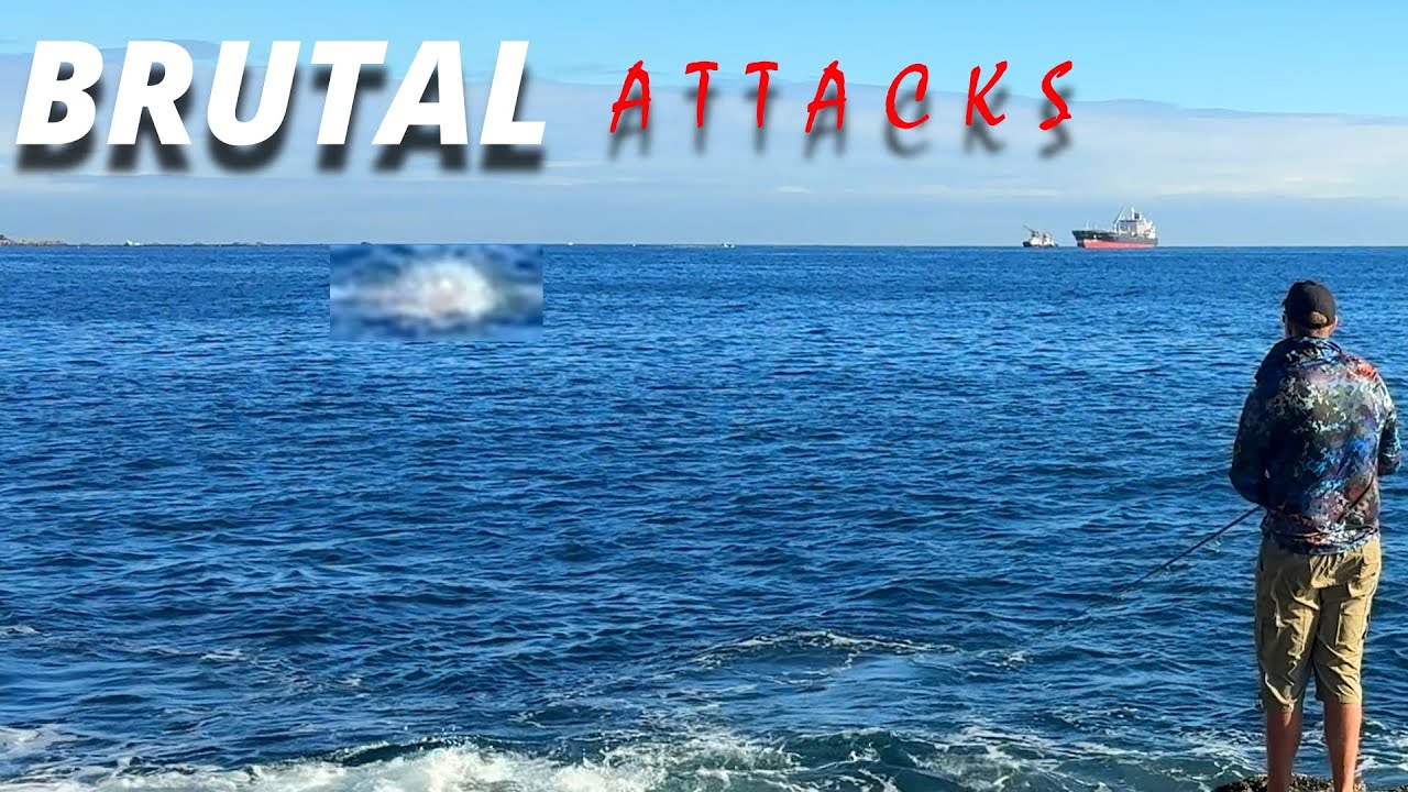 Vlog #07 | Brutal Attacks / Ataques Brutales