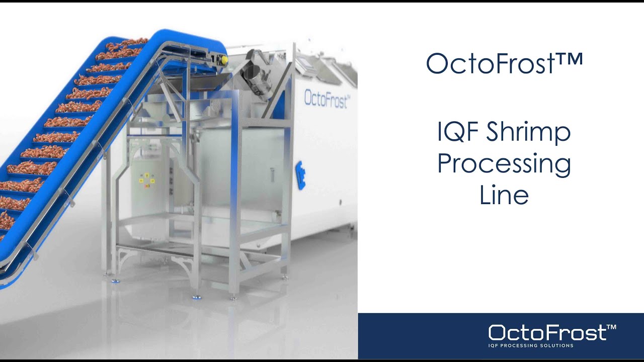 OctoFrost™ IQF Shrimp Processing Line | Cooker| Chiller | IQF Freezer | 3D Visualization