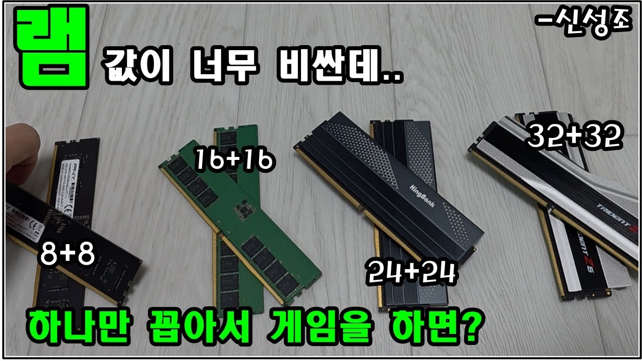 '램' 값이 미쳤는데 .. 하나만 꼽아서 게임하면 안될까?