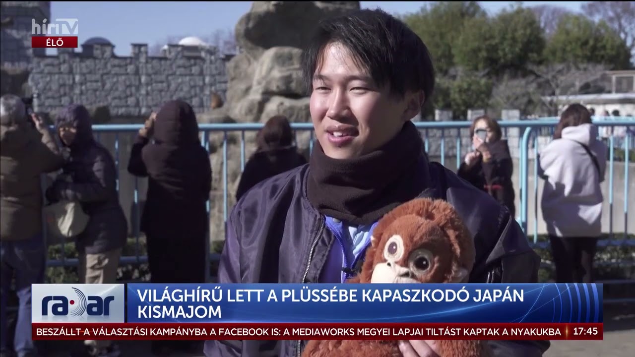 Világhírű lett a plüssébe kapaszkodó japán kismajom - HírTV