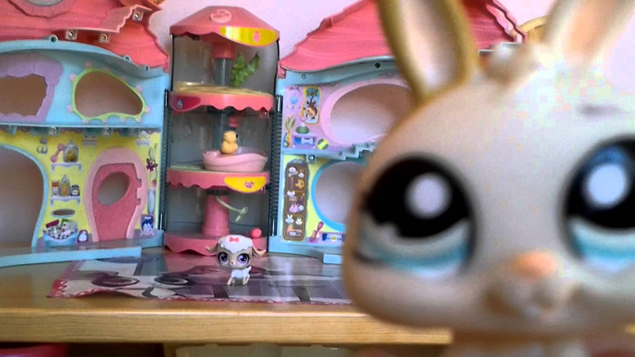 LPS moje domečky 1 (Kudrnka a Líza) pro Anetu J.