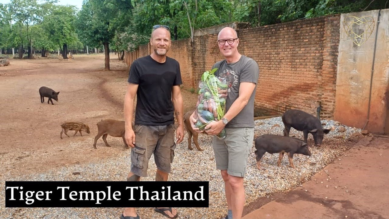 Abandoned Tiger Temple walk around