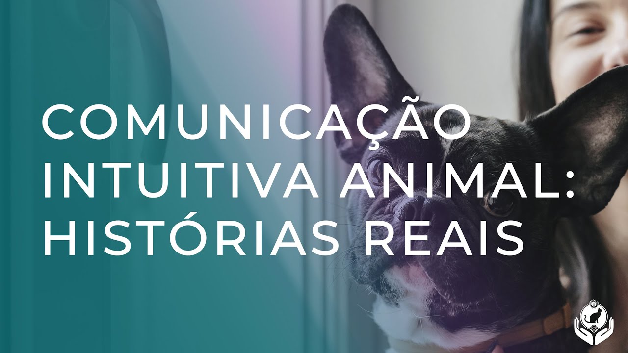 RELATOS QUE COMPROVAM A COMUNICAÇÃO INTUITIVA ANIMAL