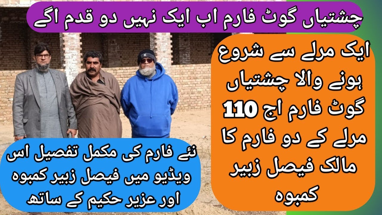 چشتیاں گوٹ فارم دو قدم اگے نیو فارم اوپن Chishtian Goat Farm , New Farm Opened