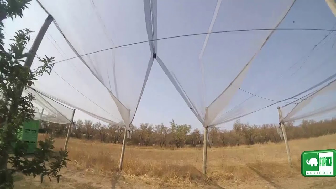steadydrone filpack agricole