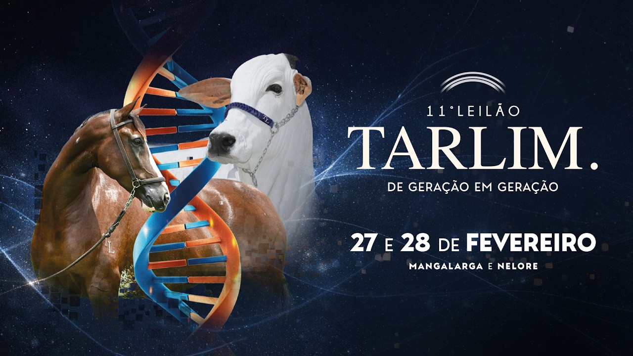 Transmissão ao vivo - 11º Leilão Tarlim - De Geração em Geração