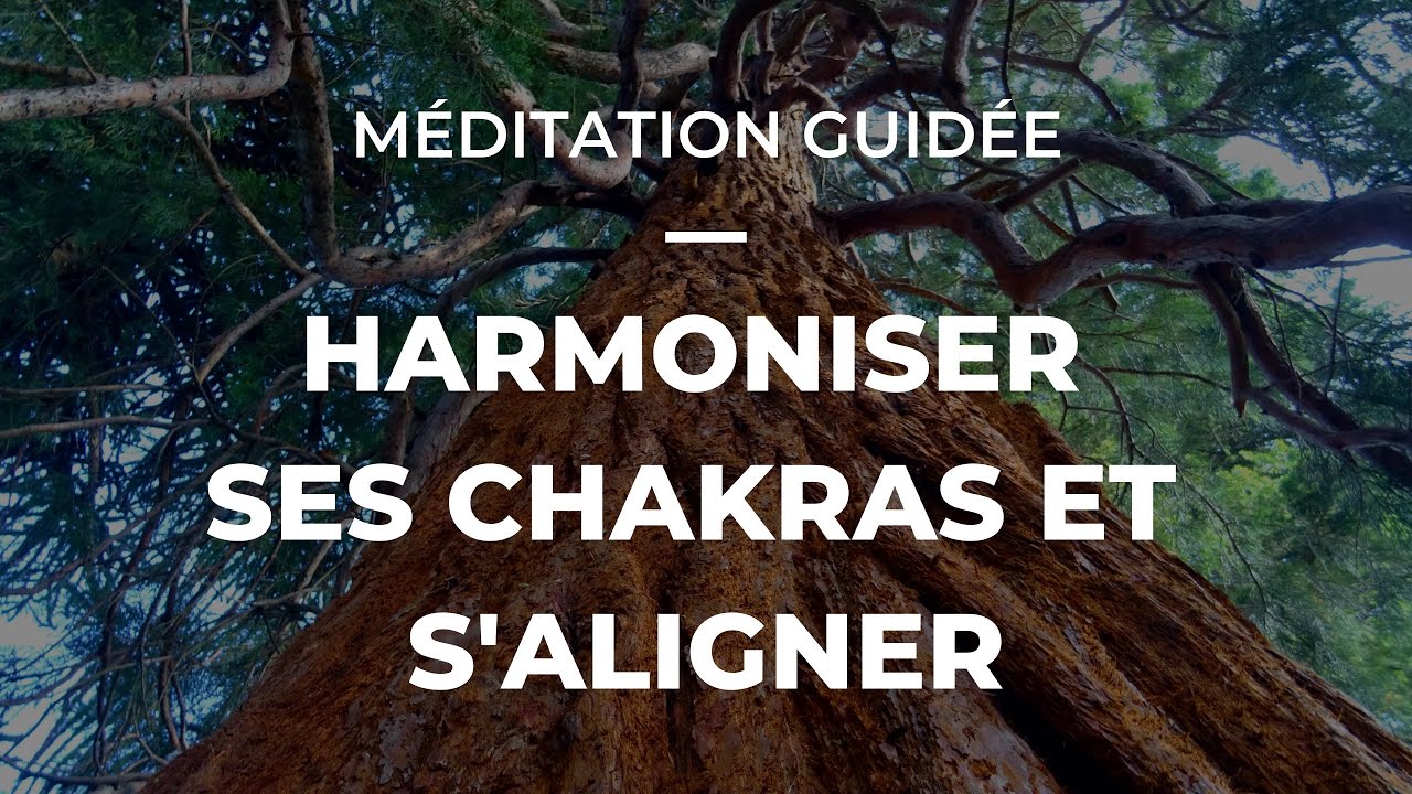 MÉDITATION GUIDÉE - HARMONISER SES CHAKRAS ET S'ALIGNER