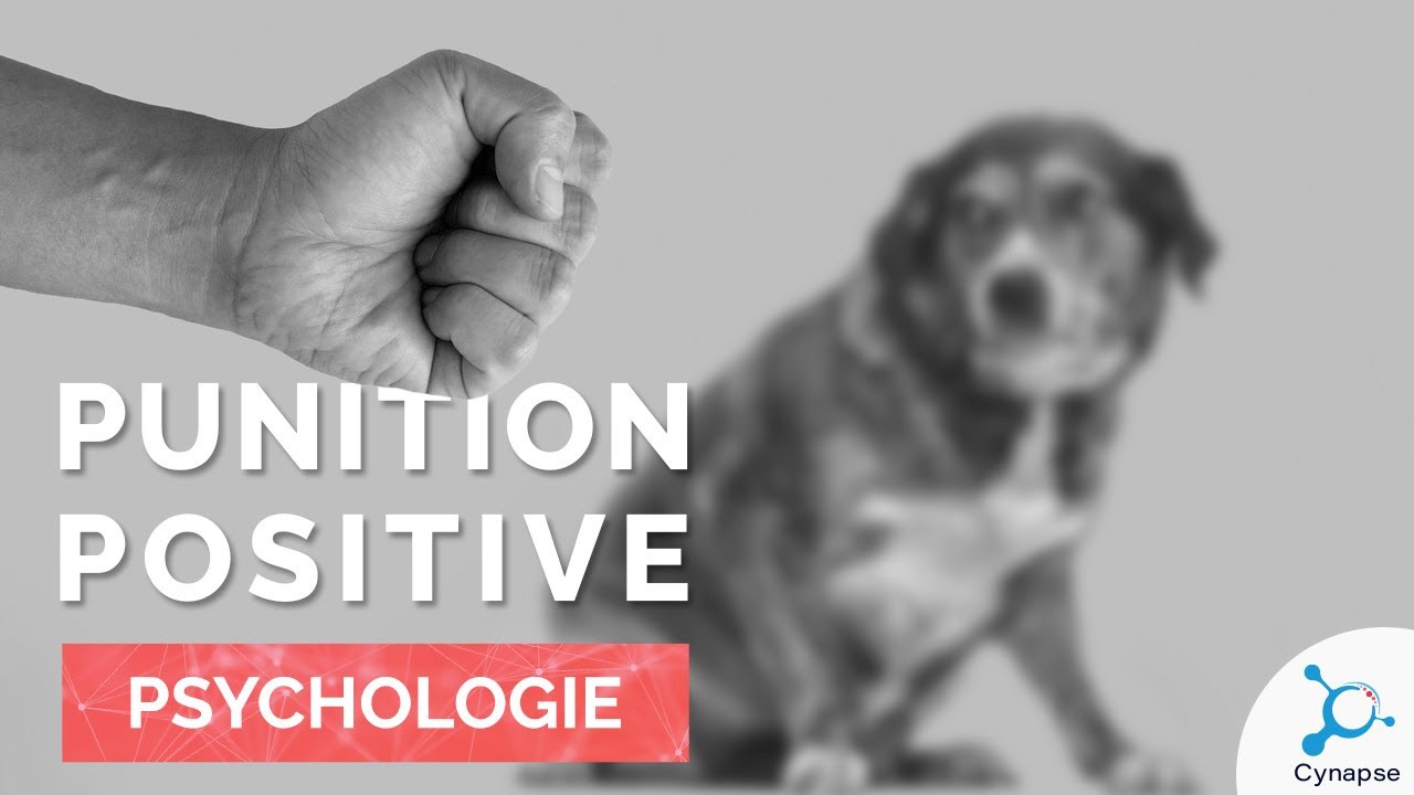 Punition positive - PSYCHOLOGIE