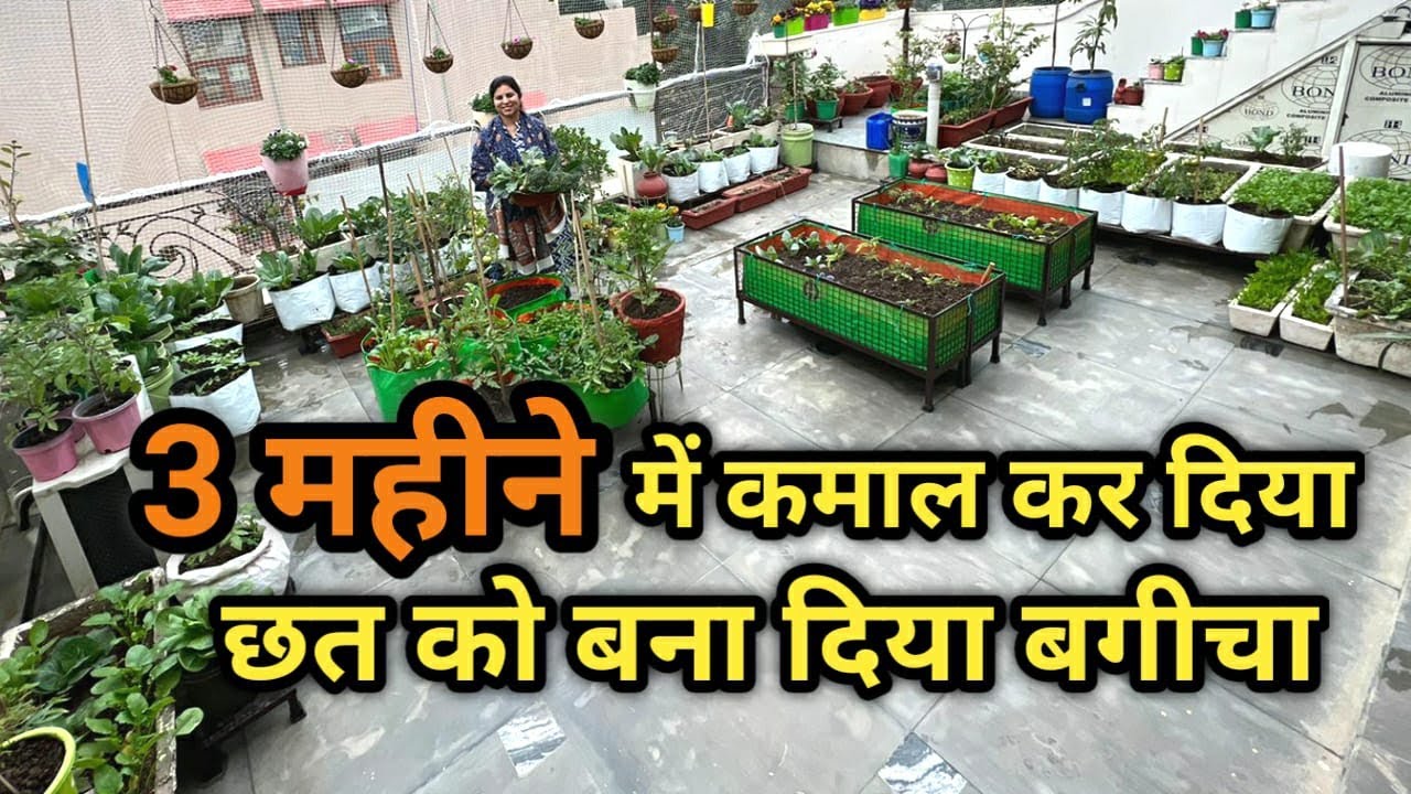 3 महीने में कमाल कर दिया छत को बना दिया बगीचा