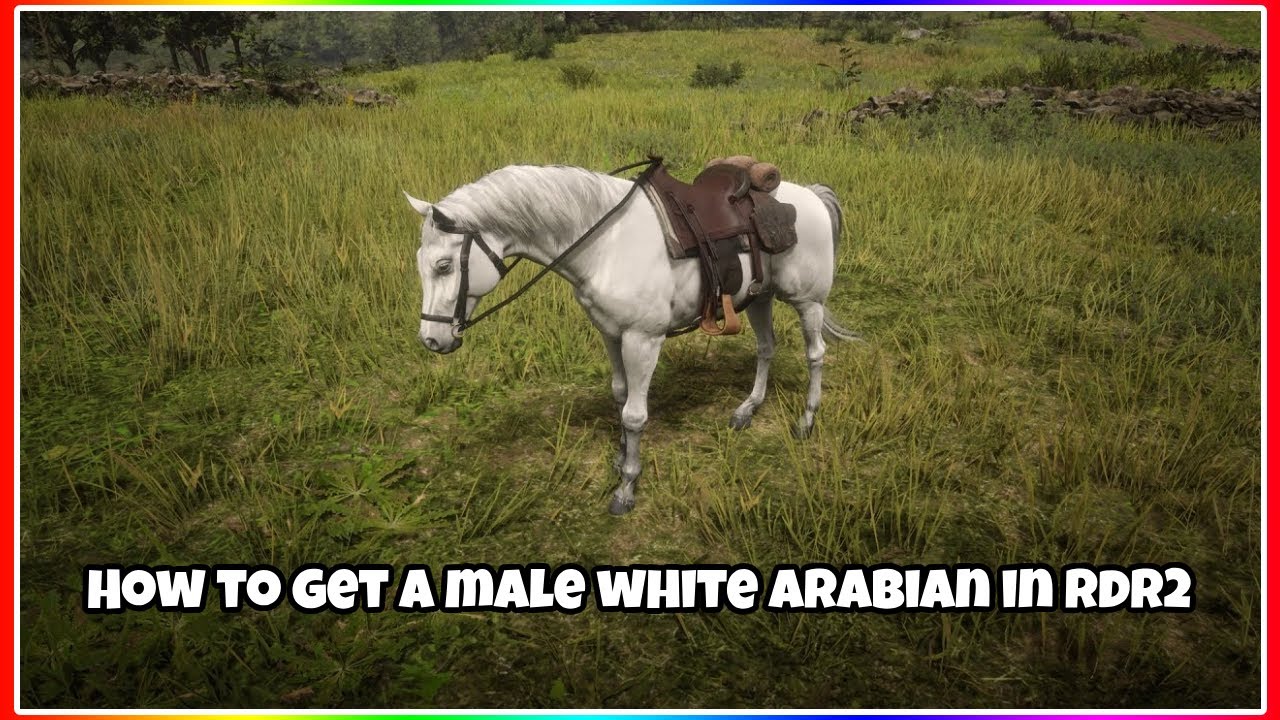 This is how to get the male version of the white arabian in rdr2!