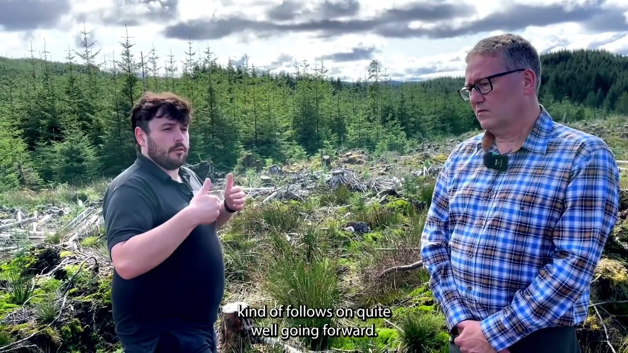 How to Manage a UK Forest Sustainably: The Benefits and Challenges