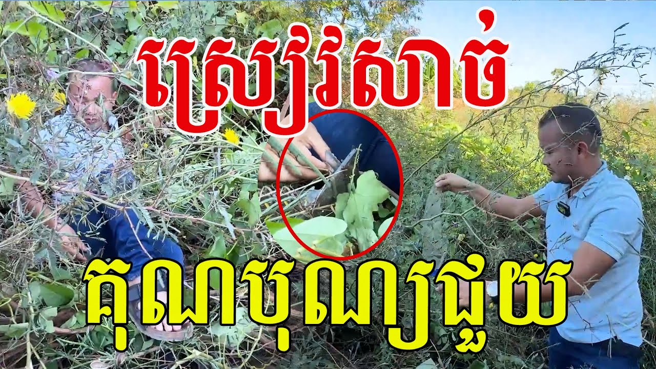 សំណាងក្នុង១ម៉ឺន បានគុណបុណ្យជួយ ស្រួចរលែមបងប្អូនអើយ