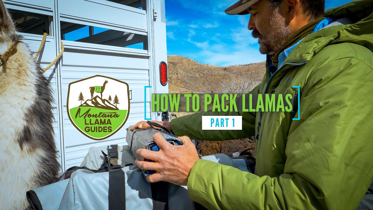 HOW TO PACK LLAMAS (PART 1)
