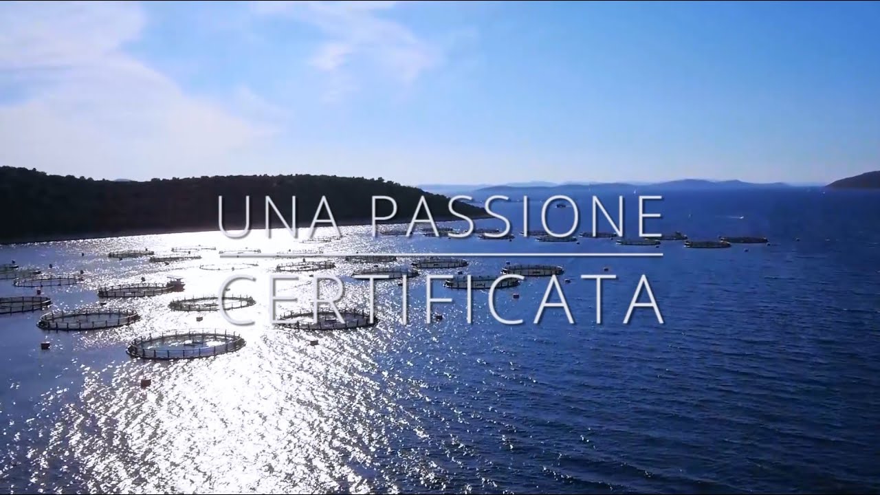 CROMARIS - Una passione certificata