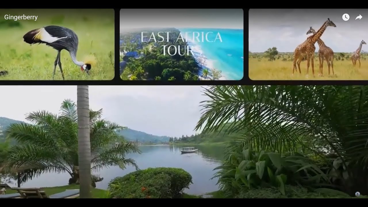 Explore wild Africa- Gingerberry Hospitality