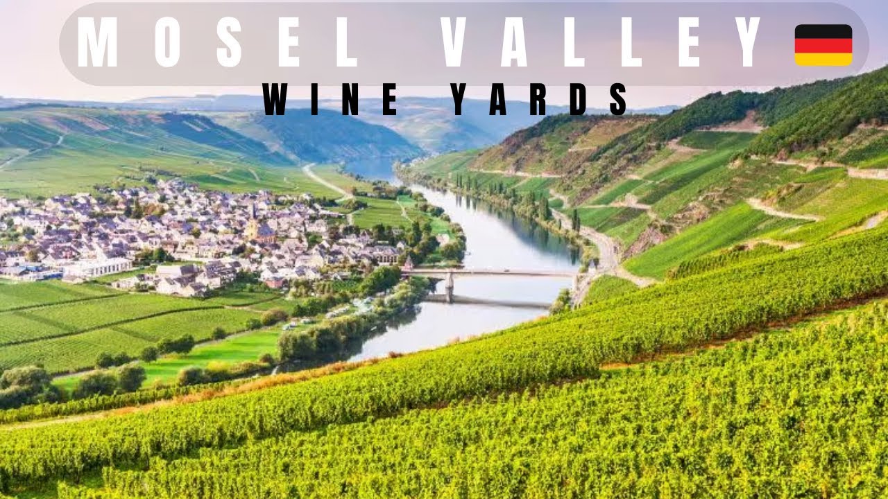 Mosel Valley | Largest steep slope wine growing region in the world | #wine #germany