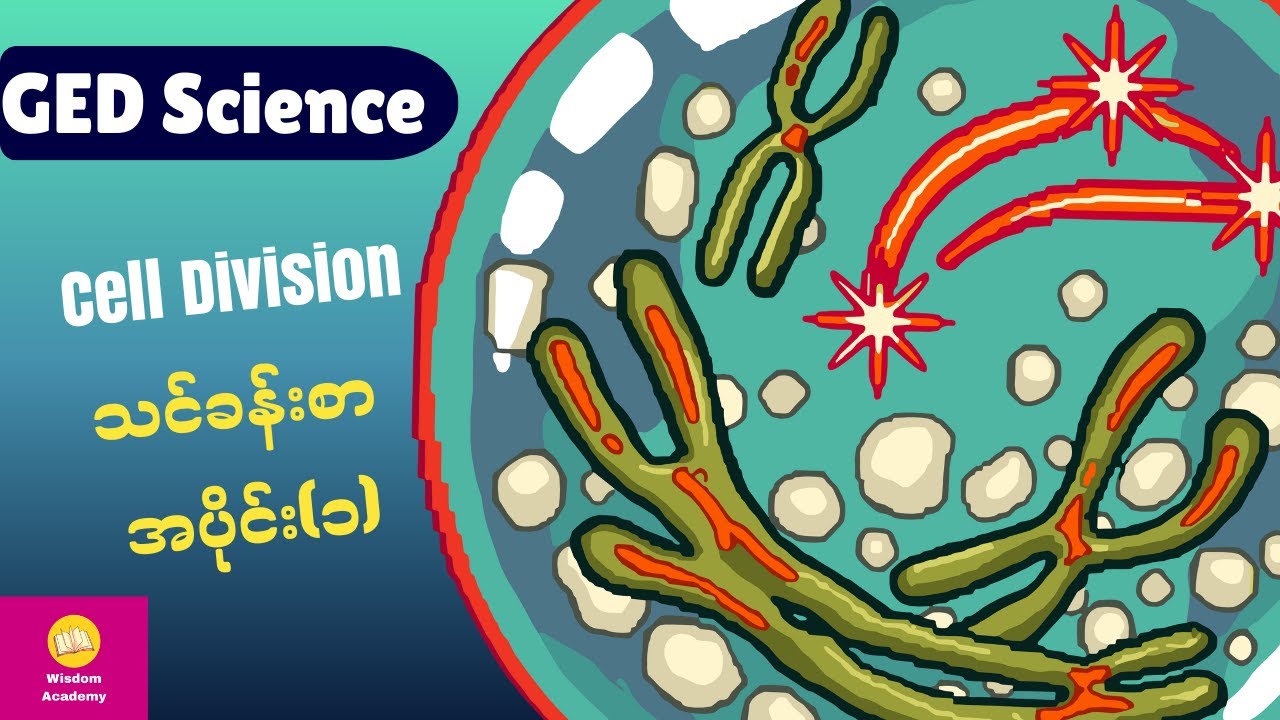 GED Science- Cell Division (Part1)