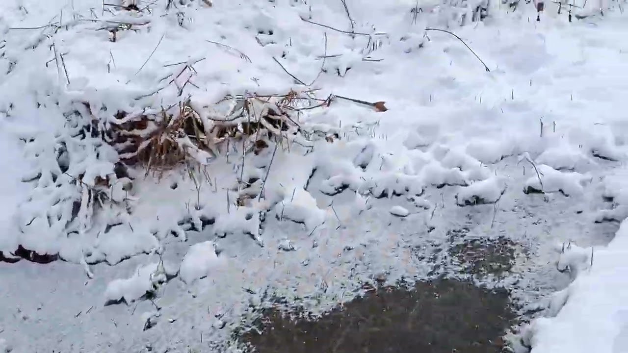 Долгая дорога в дюнах