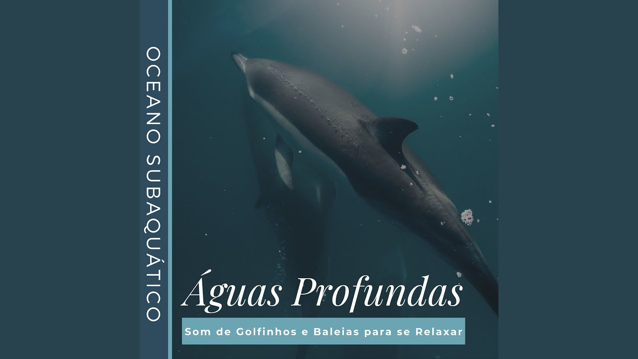 Curtindo o Mar