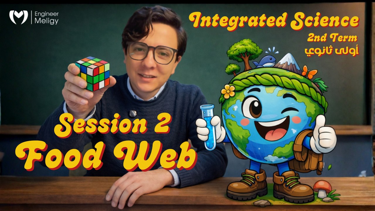 Integrated Science - Lesson 1 (Part 2) - Food Web