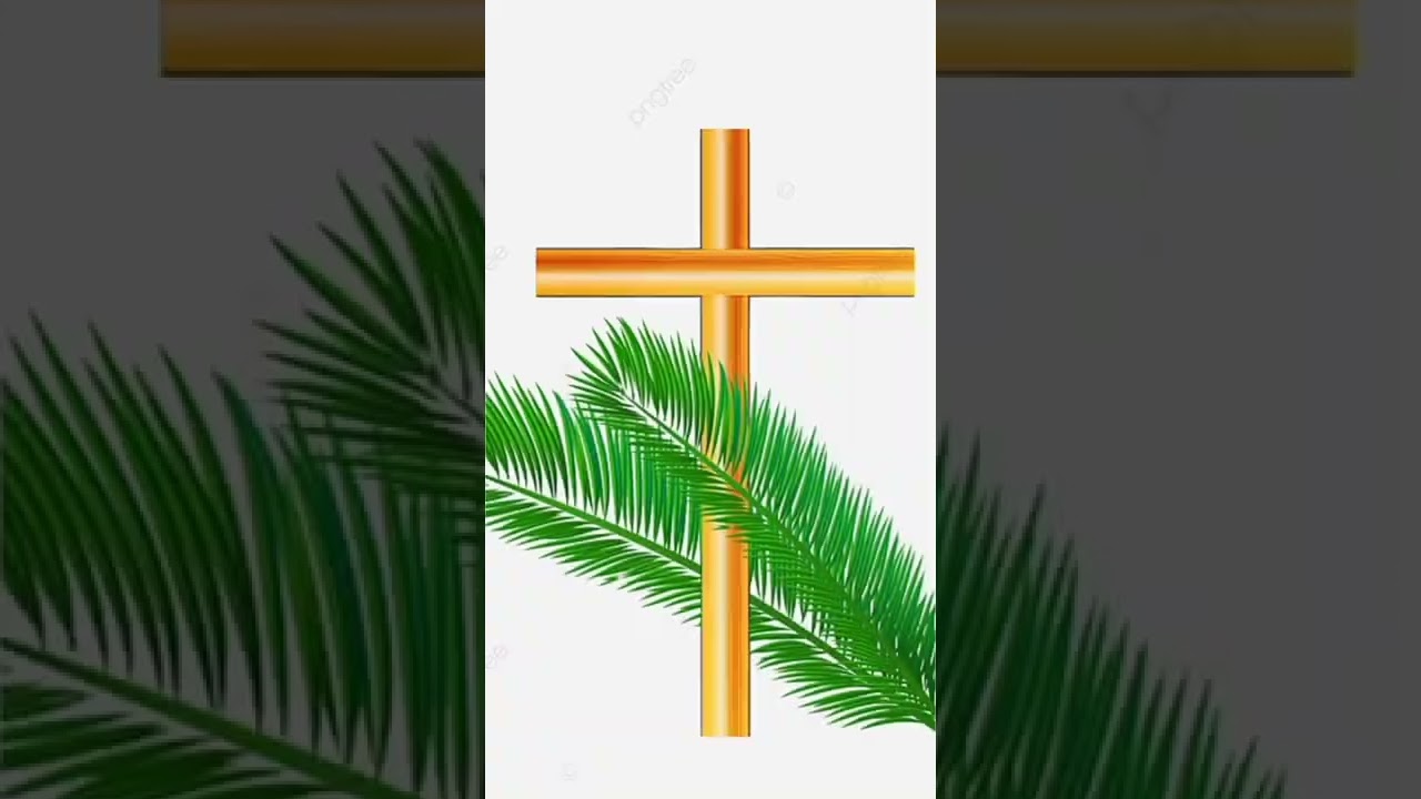 happy palm Sunday 💚💚💚💚💚💚